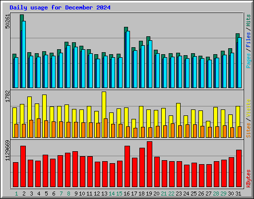 Daily usage for December 2024