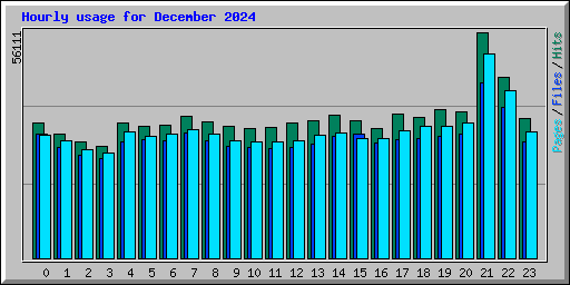 Hourly usage for December 2024