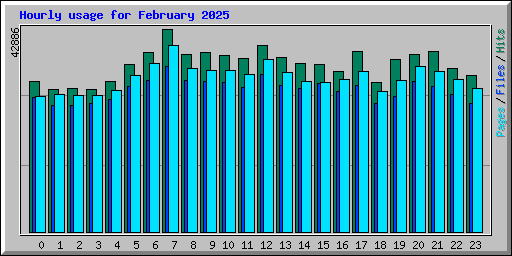 Hourly usage for February 2025